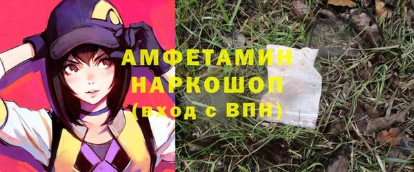 индика Баксан