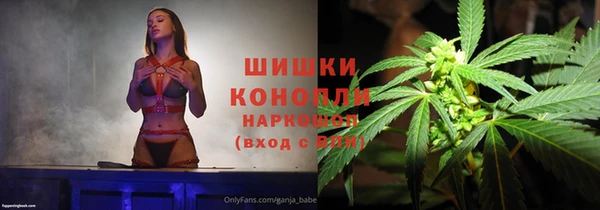индика Баксан