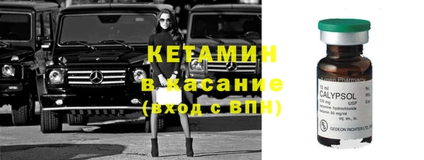 индика Баксан