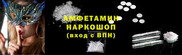 индика Баксан