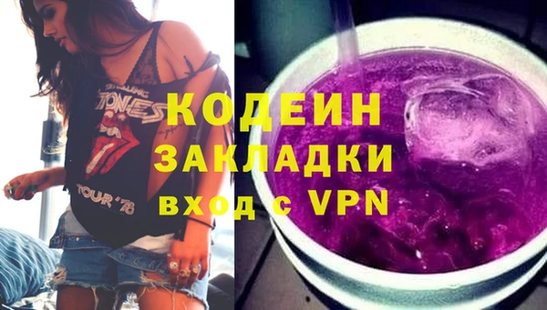 индика Баксан