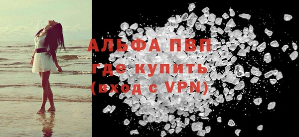 индика Баксан
