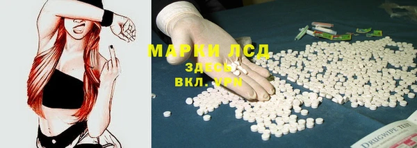 индика Баксан